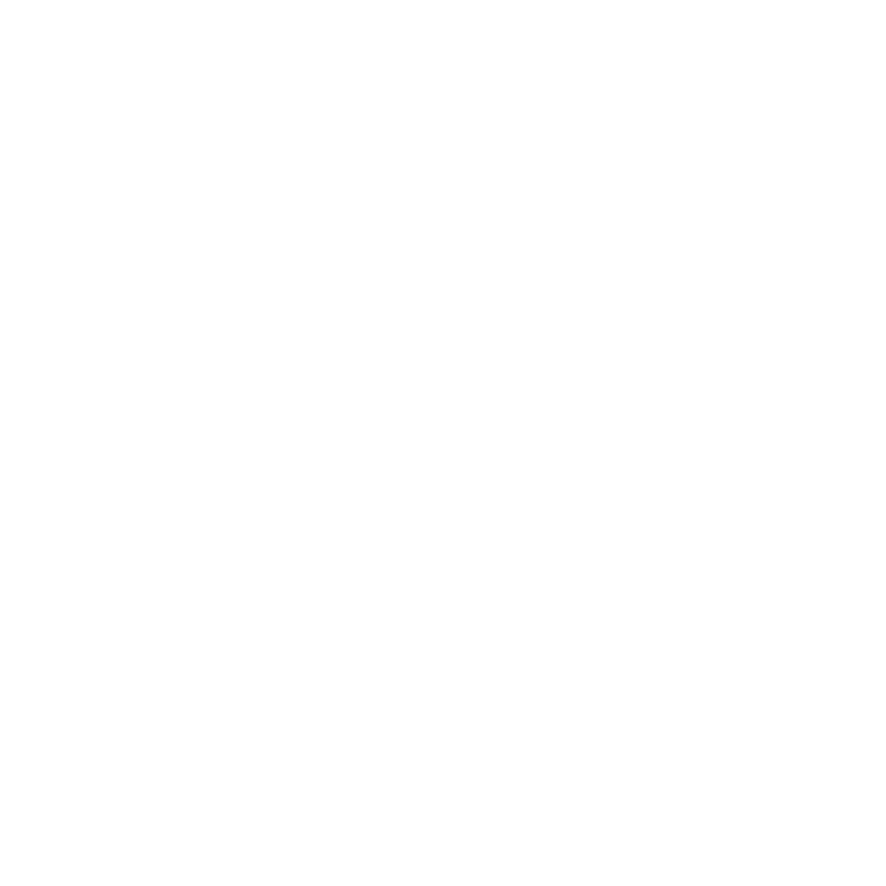 NILE CAPITAL
